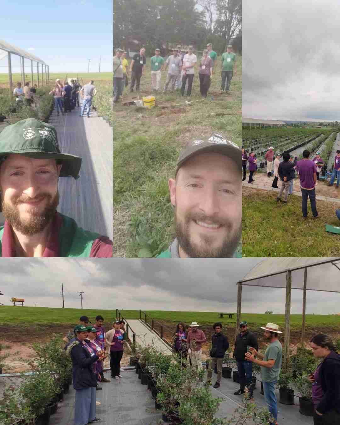 Pedro de Quadros no campo de mirtilos